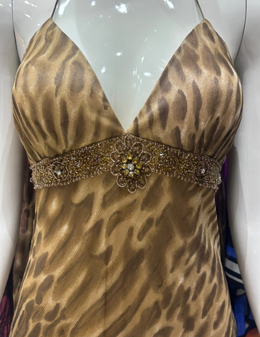 The Sahara Muse vintage Dress