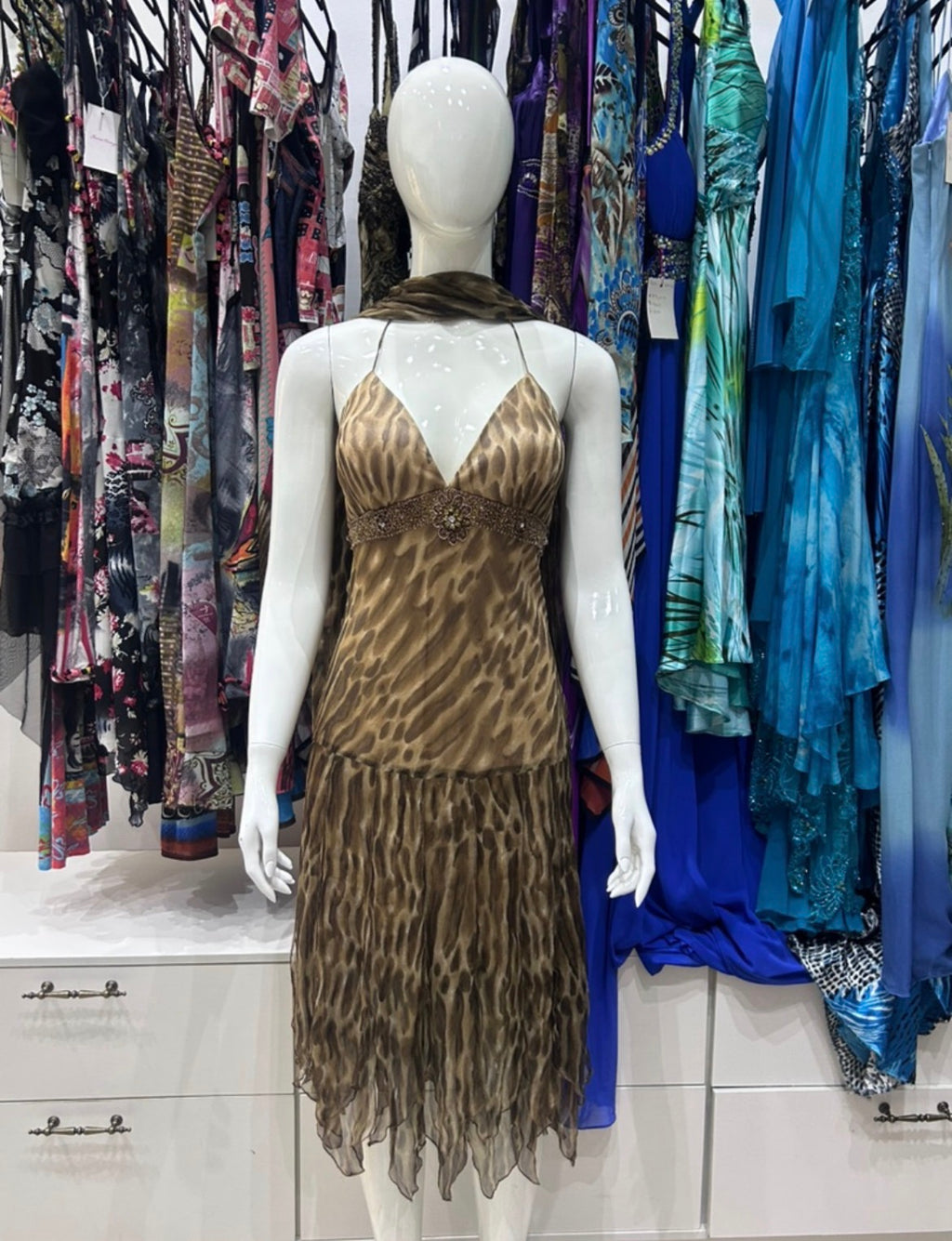 The Sahara Muse Vintage Dress