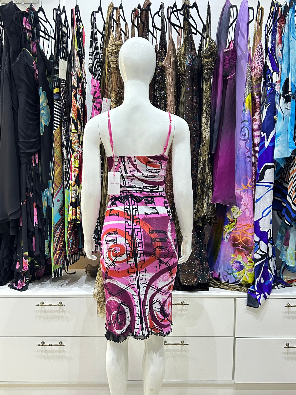 The Pink Story Vintage Dress back