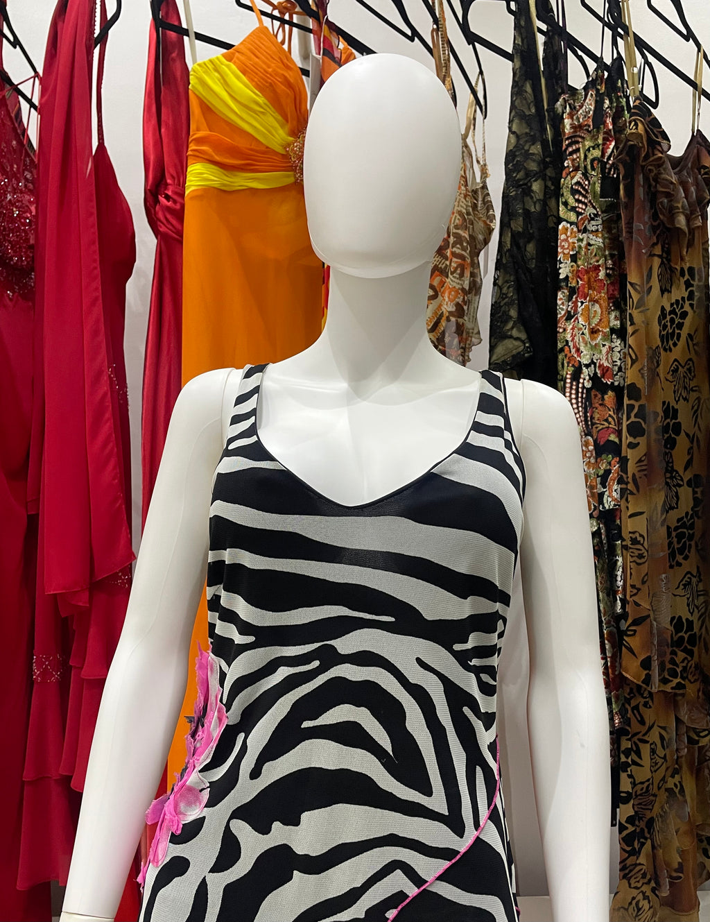 The Zebra Bloom Dress