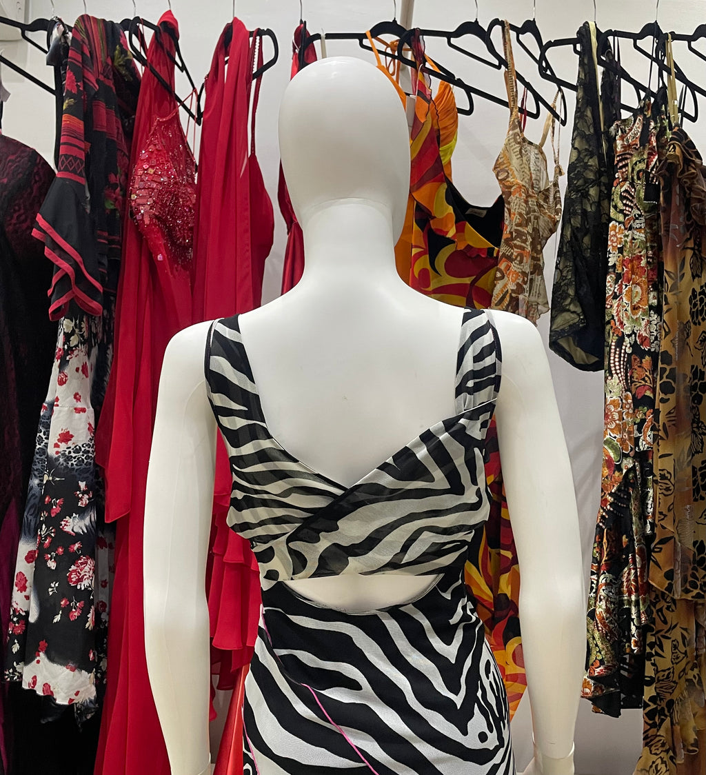 The Zebra Bloom Dress