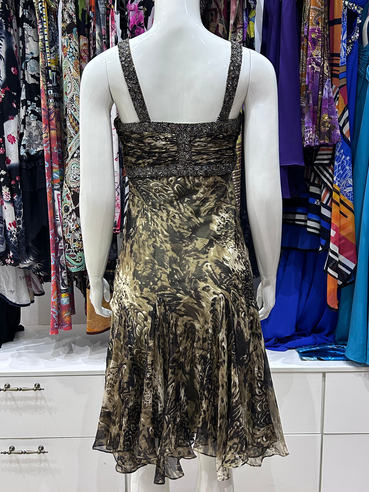 The Quiet Savannah  Dress