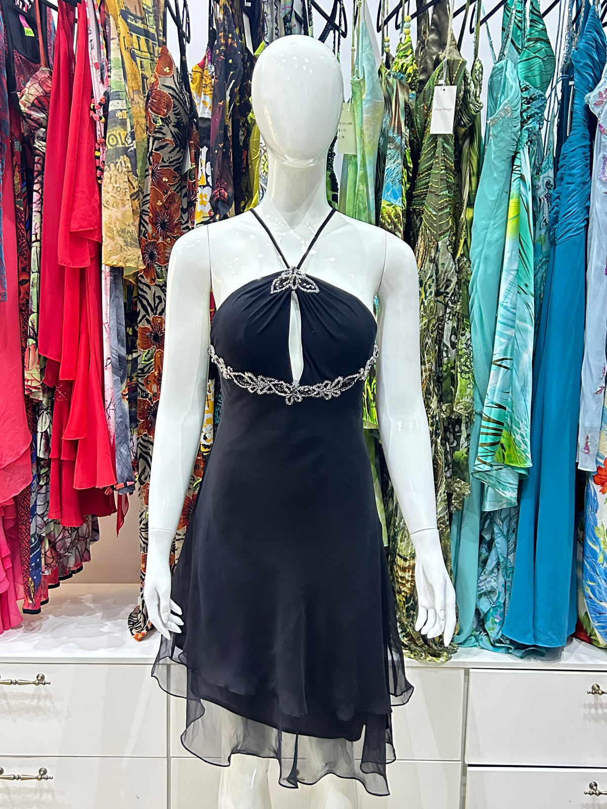 The Midnight Bloom Dress