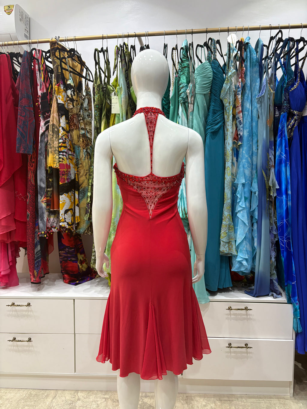 The Ruby Desire Dress