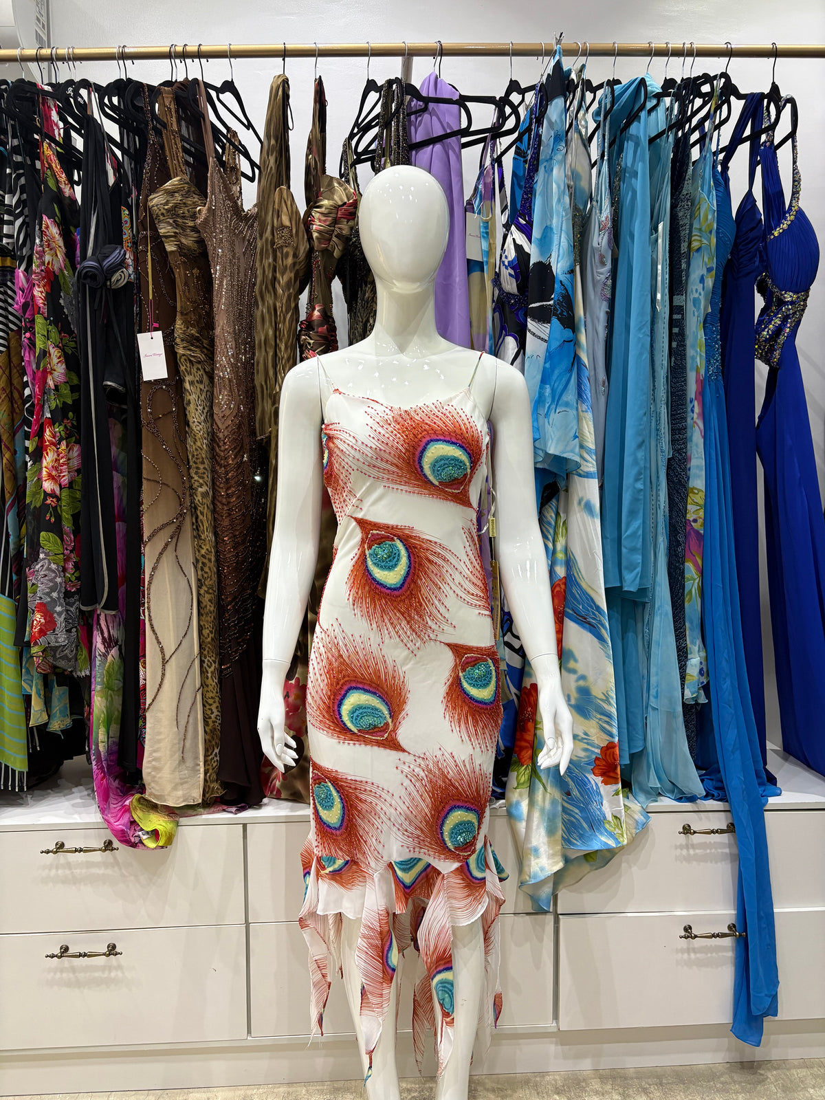 Peacock Feather Beaded Dress
