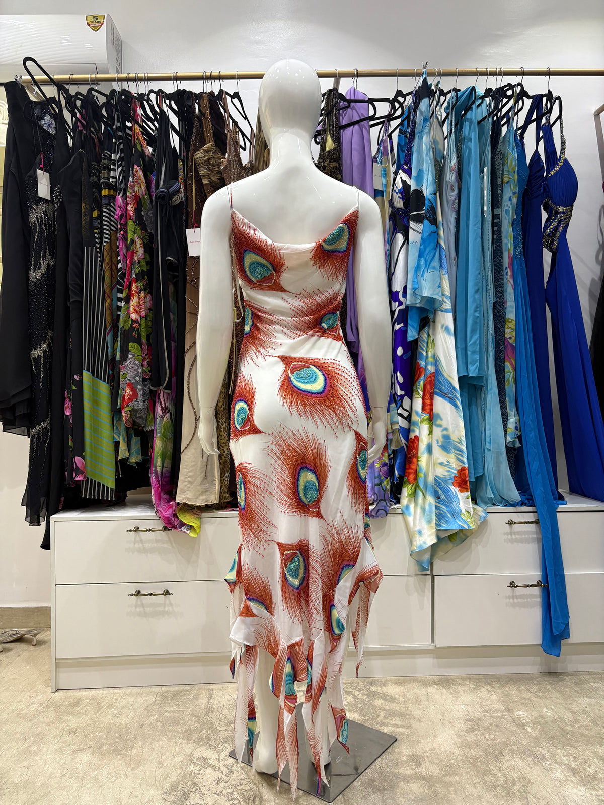 Peacock Feather Beaded Dress